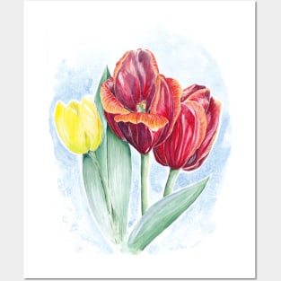 Tulips Posters and Art